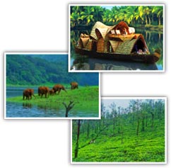 card1.jpg